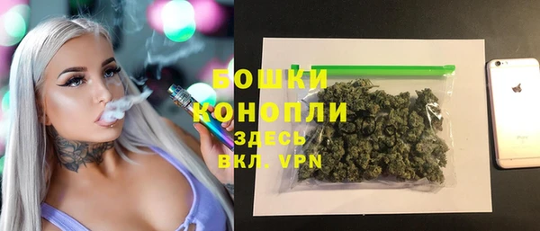 ПСИЛОЦИБИНОВЫЕ ГРИБЫ Арсеньев