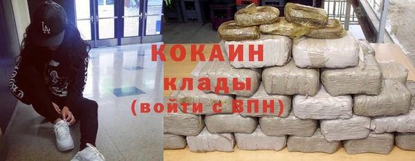 ПСИЛОЦИБИНОВЫЕ ГРИБЫ Арсеньев