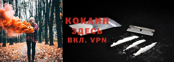 ПСИЛОЦИБИНОВЫЕ ГРИБЫ Арсеньев